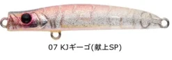 TackleWest Stickbaits|Flies>Apia Punchline 60