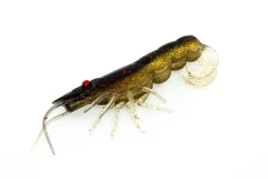 TackleWest Soft Plastic Lures|Flies><noscript><img width=