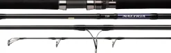 Daiwa Flies|Offshore Rods>21 Saltiga C