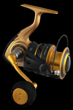 Daiwa Flies|Spinning Reels>Aird SW Spinning Reel