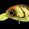 Daiwa Flies|Fishing Lures>Infeet Rolling Crank DR