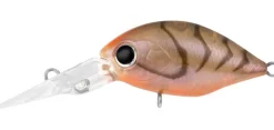 Daiwa Flies|Fishing Lures><noscript><img width=