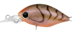 Daiwa Flies|Fishing Lures><noscript><img width=