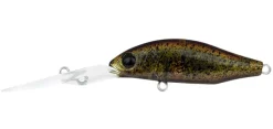 Daiwa Flies|Fishing Lures><noscript><img width=
