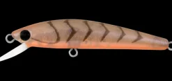 Daiwa Flies|Fishing Lures>Presso Minnow 60F