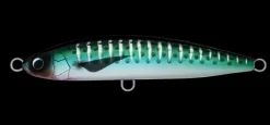 TackleWest Stickbaits|Flies>Daiwa Saltiga Rough Ride 160F