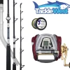 Daiwa Flies|Electric Rod And Reel Combos>Seaborg 1200 / Saltist Electric Combo
