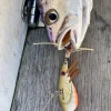 Ecogear Flies|Blade Lures>ZX40