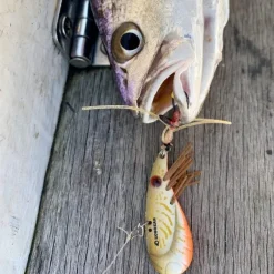 Ecogear Flies|Blade Lures>ZX40