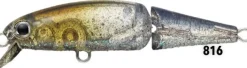 Ever Green Flies|Fishing Lures><noscript><img width=