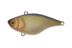 Jackall Vibe Lures|Flies>Chubby Vibration 40