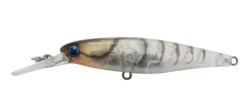 Jackall Flies|Fishing Lures>Squirrel 61SP