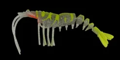 TackleWest Soft Plastic Lures|Flies><noscript><img width=