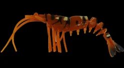 TackleWest Soft Plastic Lures|Flies><noscript><img width=
