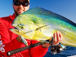 TackleWest Stickbaits|Flies><noscript><img width=