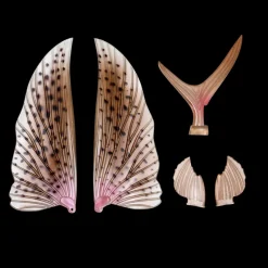 Nomad Flies|Fishing Lures><noscript><img width=