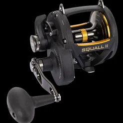 Penn Flies|Overhead Reels><noscript><img width=