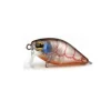 Pro Lure Flies|Fishing Lures>Crank XS36