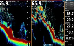 Simrad Simrad Australia|Flies><noscript><img width=