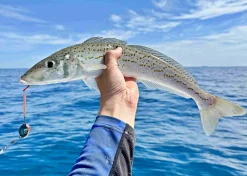 Vexed Vexed Hybrid Jigs|Flies><noscript><img width=