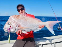 Vexed Jigs|Flies><noscript><img width=