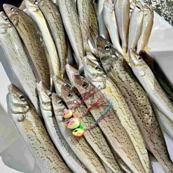 Vexed Vexed Hybrid Jigs|Flies><noscript><img width=