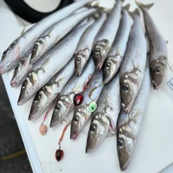 Vexed Vexed Hybrid Jigs|Flies><noscript><img width=