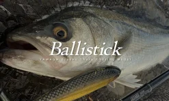 Yamaga Flies|Surf/Beach/Rock Rods>Blanks Ballistick TZ Nano