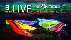 TackleWest Squid Jigs|Flies><noscript><img width=