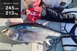 Zenaq Flies|Offshore Rods><noscript><img width=