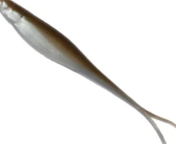 TackleWest Soft Plastic Lures|Flies><noscript><img width=